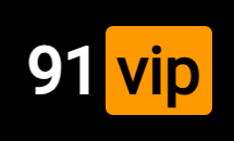 91VIP Logo