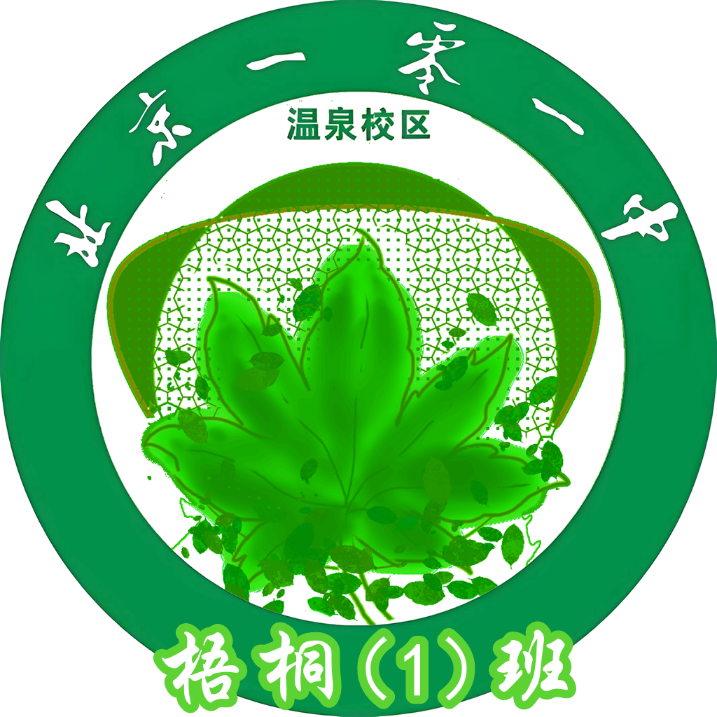 91VIP Logo